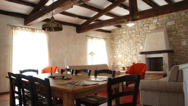 villa_cirsium_(1)_medium.jpg.708x454px